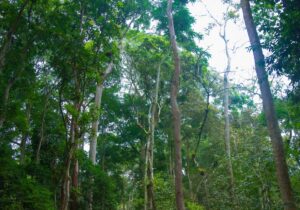 Voyage en cote d ivoire avec zoko tours voyage en afrique8